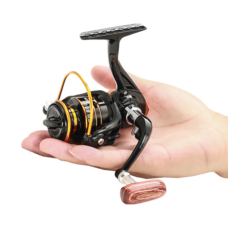 รอกตกปลาขนาดเล็ก ซีรีส์ 800 แบ - Daiwa Reel Bg บทวิจารณ์และราคา
