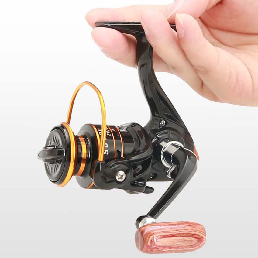รอกตกปลาขนาดเล็ก ซีรีส์ 800 แบ - Daiwa Reel Bg บทวิจารณ์และราคา